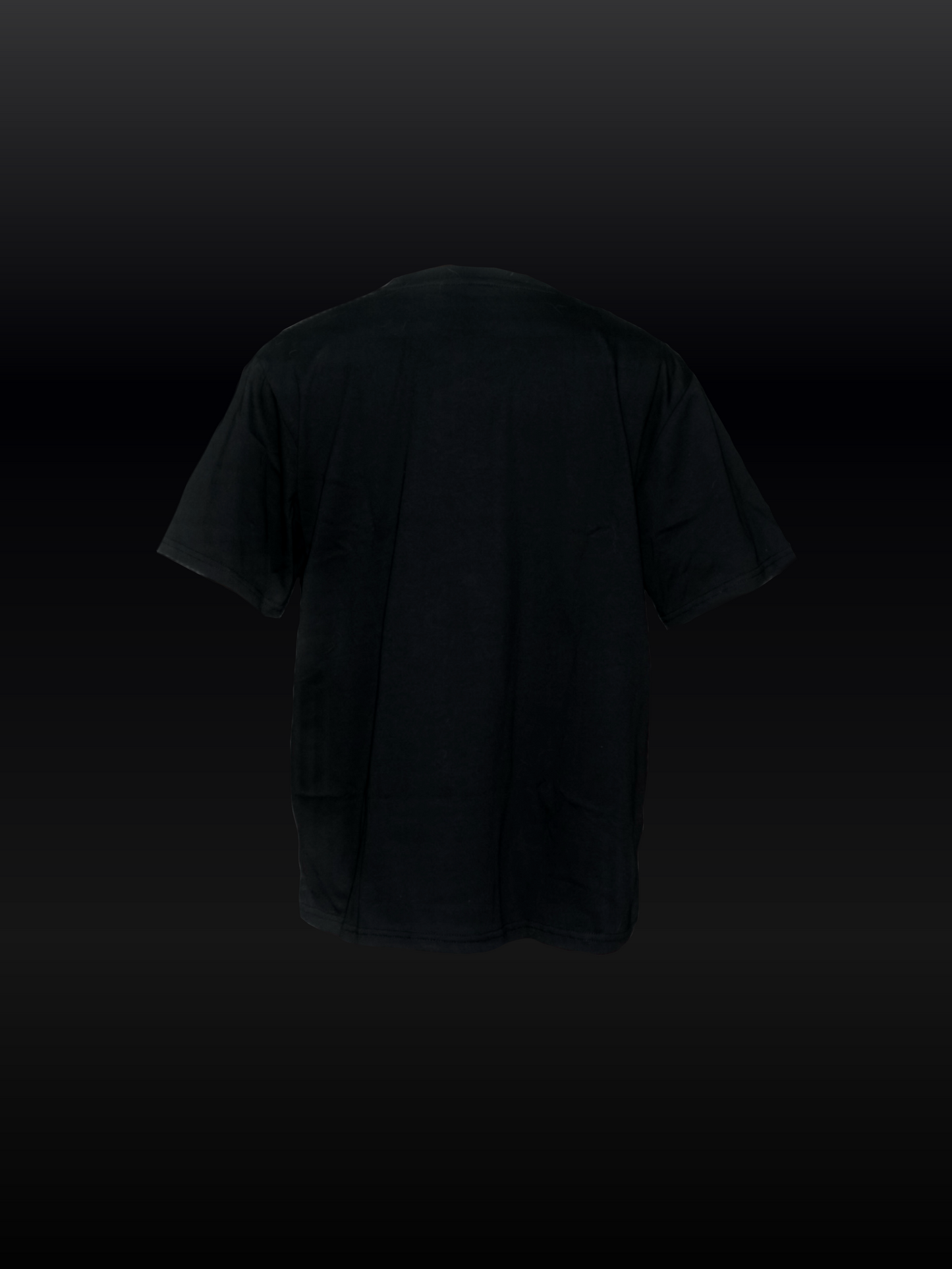 FROZEN ICON TEE