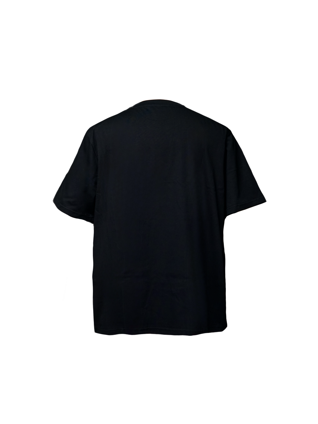 FROZEN ICON TEE