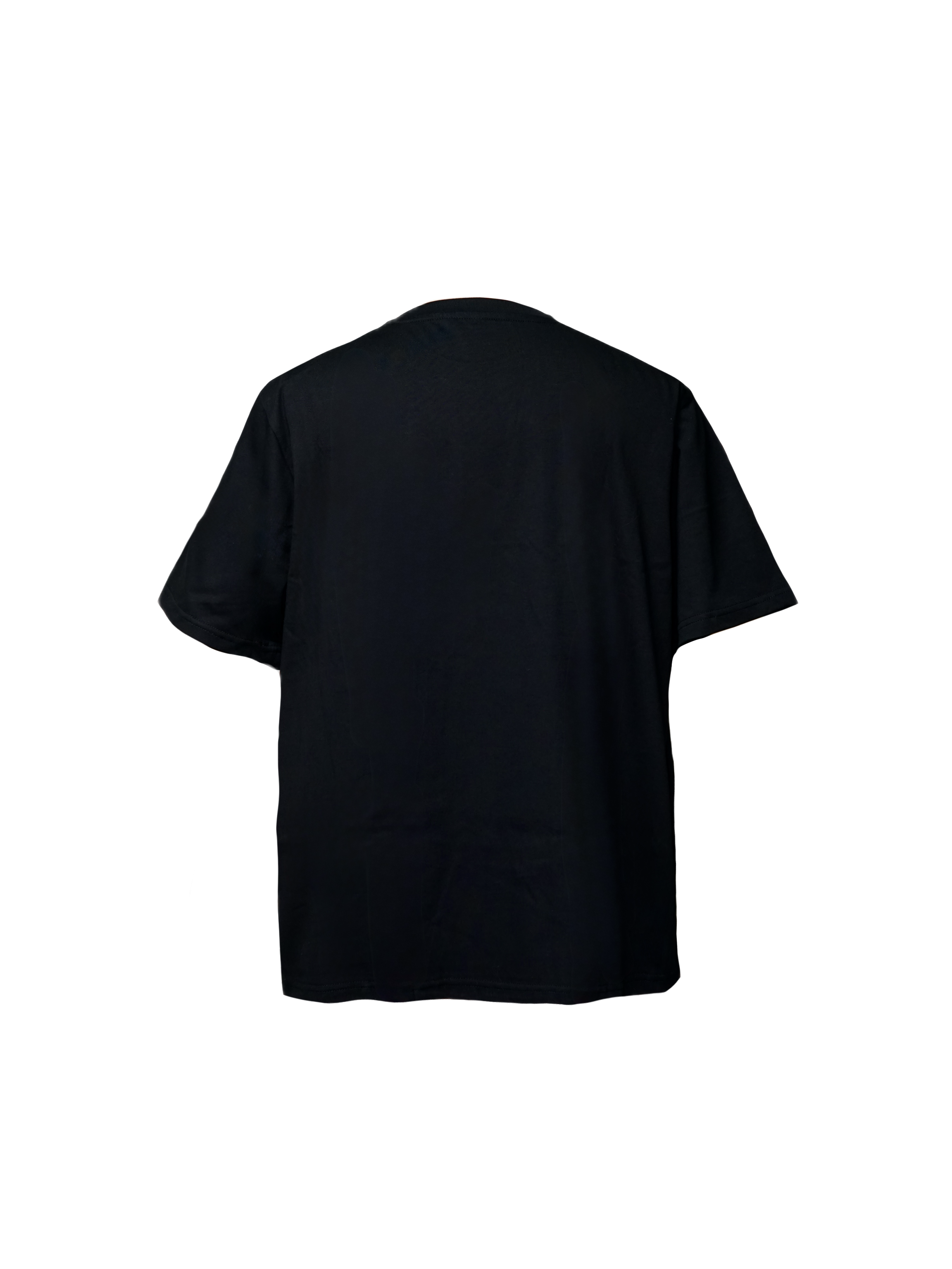 FROZEN ICON TEE